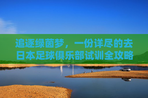 追逐绿茵梦,一份详尽的去日本足球俱乐部试训全攻略