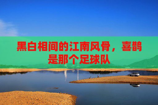 黑白相间的江南风骨,喜鹊是那个足球队