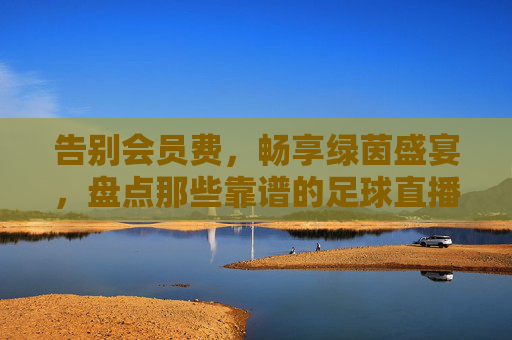 告别会员费,畅享绿茵盛宴,盘点那些靠谱的足球直播免费看的网站