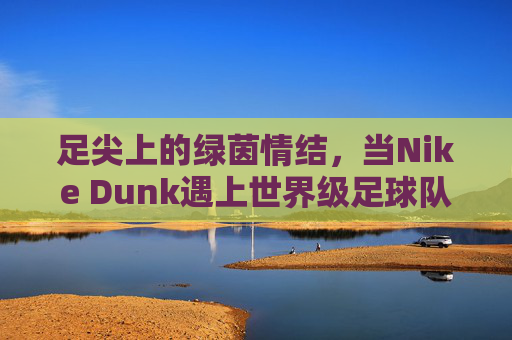 足尖上的绿茵情结,当Nike Dunk遇上世界级足球队