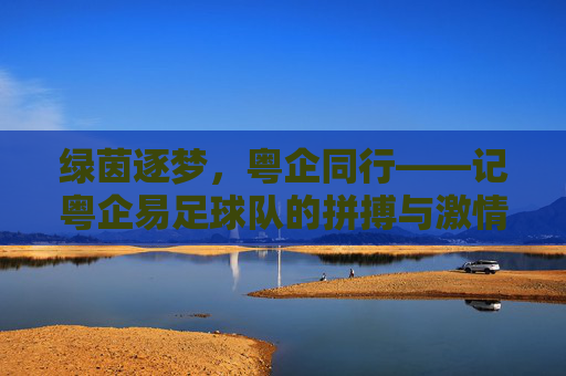 绿茵逐梦,粤企同行——记粤企易足球队的拼搏与激情