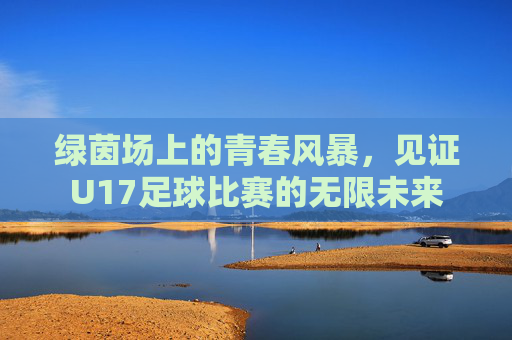 绿茵场上的青春风暴,见证U17足球比赛的无限未来