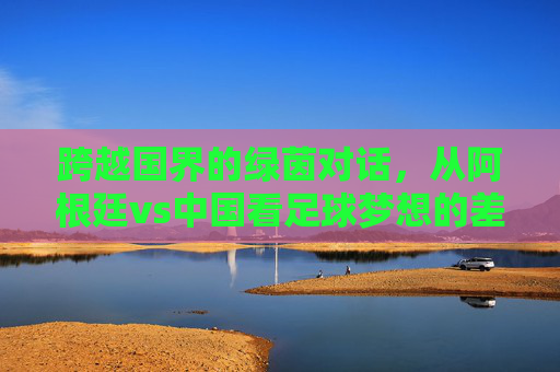 跨越国界的绿茵对话,从阿根廷vs中国看足球梦想的差距与追赶