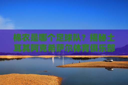 棉农是哪个足球队?揭秘土耳其阿克希萨尔体育俱乐部的棉花传奇