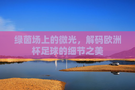 绿茵场上的微光,解码欧洲杯足球的细节之美