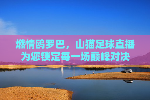 燃情鸥罗巴，山猫足球直播为您锁定每一场巅峰对决