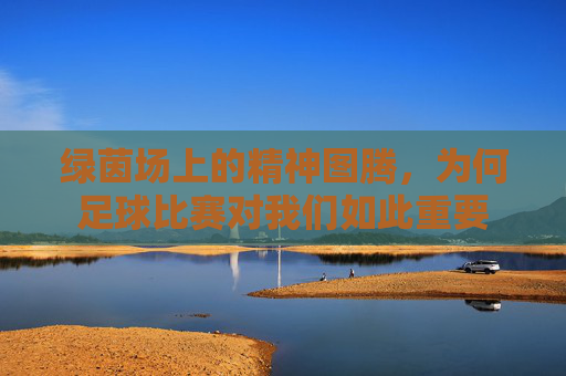 绿茵场上的精神图腾，为何足球比赛对我们如此重要