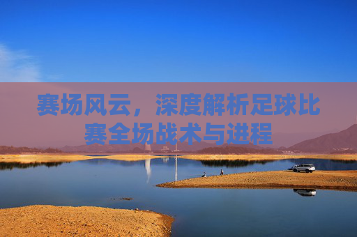 赛场风云，深度解析足球比赛全场战术与进程
