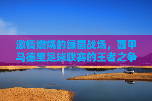 激情燃烧的绿茵战场,西甲马德里足球联赛的王者之争