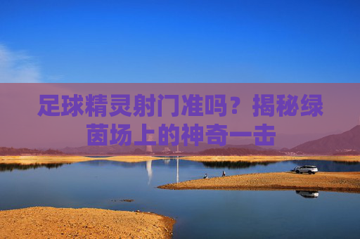 足球精灵射门准吗?揭秘绿茵场上的神奇一击