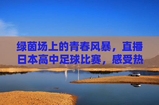 绿茵场上的青春风暴，直播日本高中足球比赛，感受热血少年魂