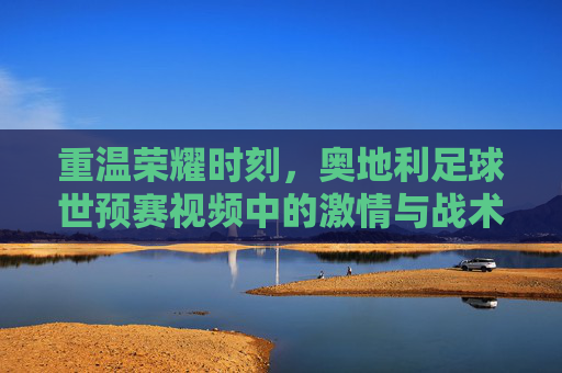 重温荣耀时刻,奥地利足球世预赛视频中的激情与战术