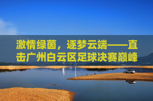 激情绿茵,逐梦云端——直击广州白云区足球决赛巅峰对决