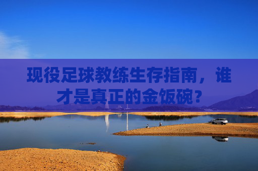 现役足球教练生存指南,谁才是真正的金饭碗?