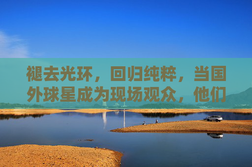 褪去光环,回归纯粹,当国外球星成为现场观众,他们眼中的足球是什么模样?