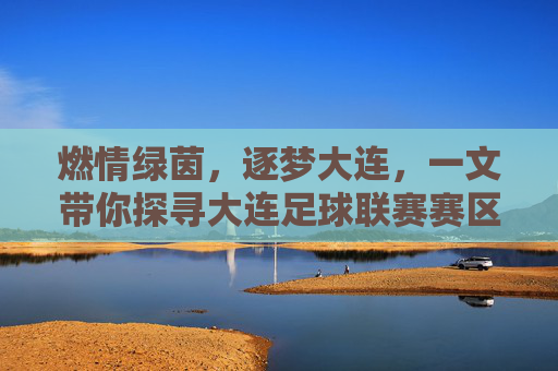 燃情绿茵,逐梦大连,一文带你探寻大连足球联赛赛区分布