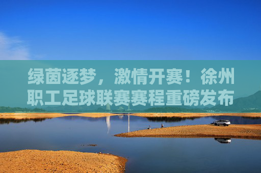 绿茵逐梦,激情开赛!徐州职工足球联赛赛程重磅发布
