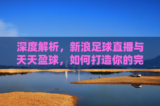 深度解析,新浪足球直播与天天盈球,如何打造你的完美观赛体验