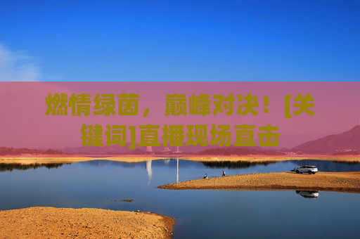 燃情绿茵，巅峰对决！[关键词]直播现场直击