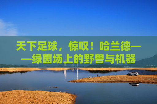 天下足球,惊叹!哈兰德——绿茵场上的野兽与机器