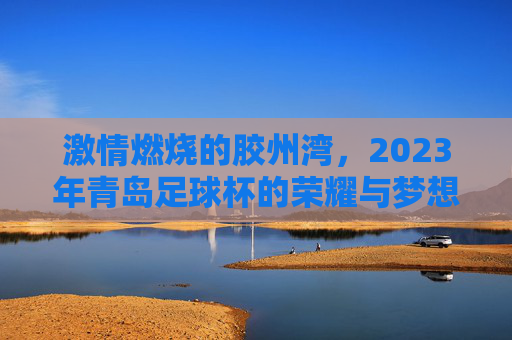 激情燃烧的胶州湾,2023年青岛足球杯的荣耀与梦想