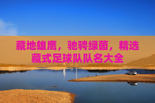 藏地雄鹰,驰骋绿茵,精选藏式足球队队名大全