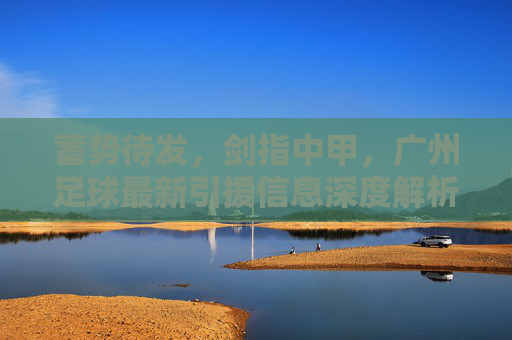 蓄势待发,剑指中甲,广州足球最新引援信息深度解析