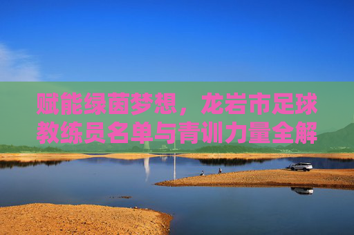 赋能绿茵梦想,龙岩市足球教练员名单与青训力量全解析