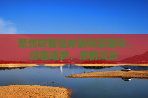 聚焦映客足球俱乐部官网,绿茵逐梦,激情绽放