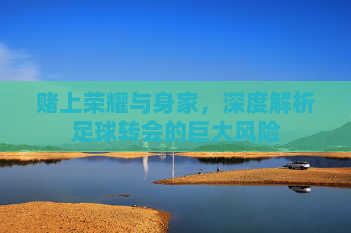 赌上荣耀与身家,深度解析足球转会的巨大风险