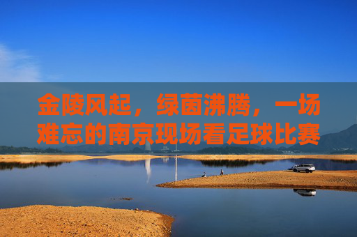 金陵风起，绿茵沸腾，一场难忘的南京现场看足球比赛体验