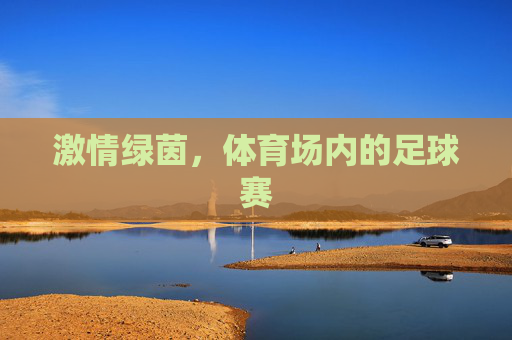 激情绿茵,体育场内的足球赛