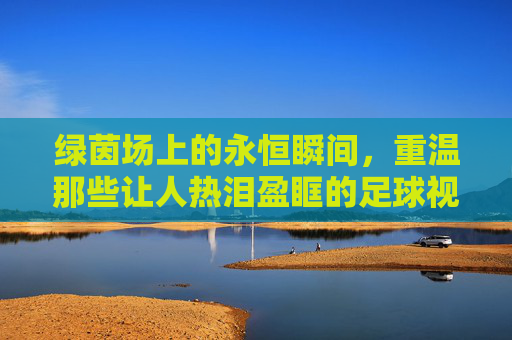 绿茵场上的永恒瞬间,重温那些让人热泪盈眶的足球视频经典一刻