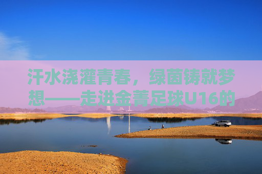 汗水浇灌青春,绿茵铸就梦想——走进金菁足球U16的逐梦征程