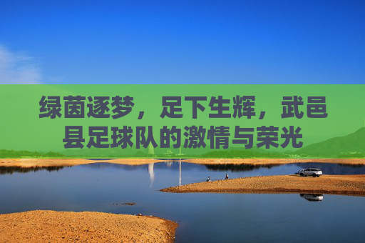 绿茵逐梦,足下生辉,武邑县足球队的激情与荣光