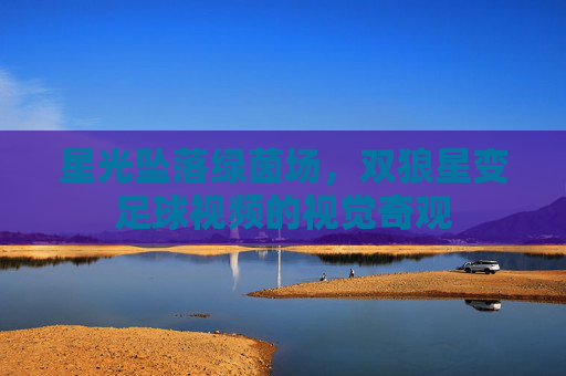 星光坠落绿茵场,双狼星变足球视频的视觉奇观