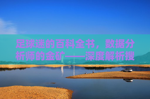 足球迷的百科全书,数据分析师的金矿——深度解析搜狐体育足球数据库