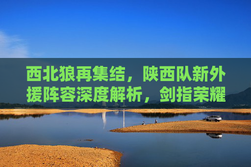 西北狼再集结，陕西队新外援阵容深度解析，剑指荣耀
