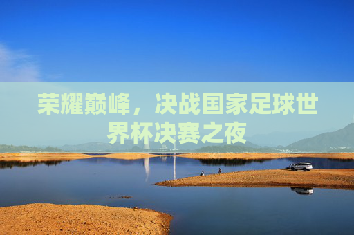 荣耀巅峰,决战国家足球世界杯决赛之夜