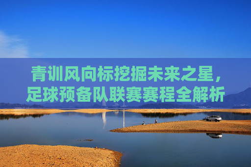 青训风向标挖掘未来之星,足球预备队联赛赛程全解析