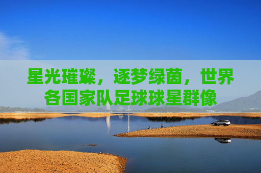 星光璀璨,逐梦绿茵,世界各国家队足球球星群像