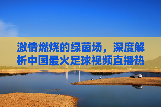 激情燃烧的绿茵场,深度解析中国最火足球视频直播热潮