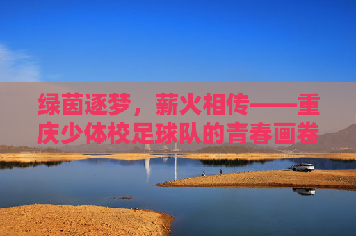 绿茵逐梦，薪火相传——重庆少体校足球队的青春画卷