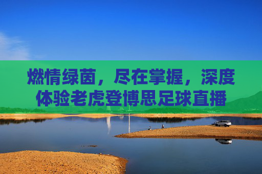 燃情绿茵,尽在掌握,深度体验老虎登博思足球直播