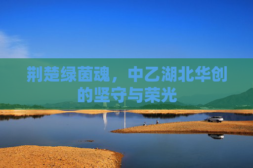 荆楚绿茵魂,中乙湖北华创的坚守与荣光