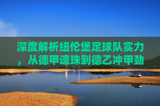 深度解析纽伦堡足球队实力,从德甲遗珠到德乙冲甲劲旅