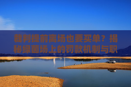 裁判提前离场也要买单?揭秘绿茵场上的罚款机制与职业底线