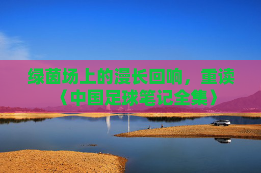 绿茵场上的漫长回响,重读〈中国足球笔记全集〉