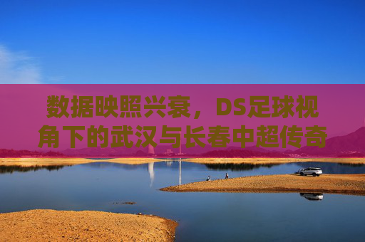 数据映照兴衰,DS足球视角下的武汉与长春中超传奇