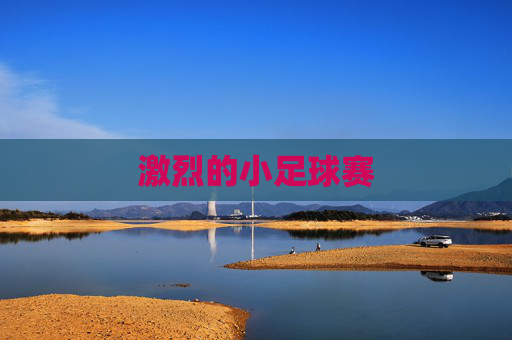 激烈的小足球赛